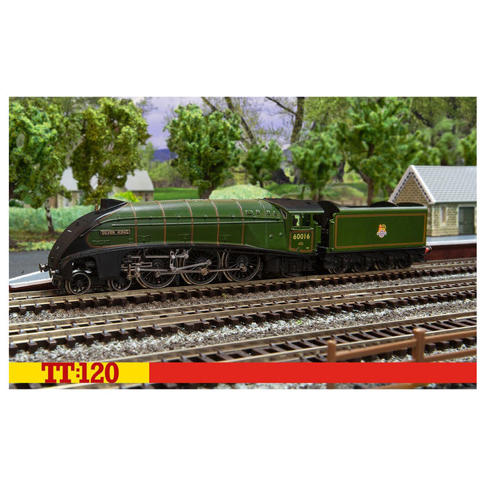 Hornby BR Class A4 4-6-2 60016 'Silver King' Train