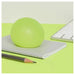 Speks Gump Original Algae Memory Gel Ball Stress Ball