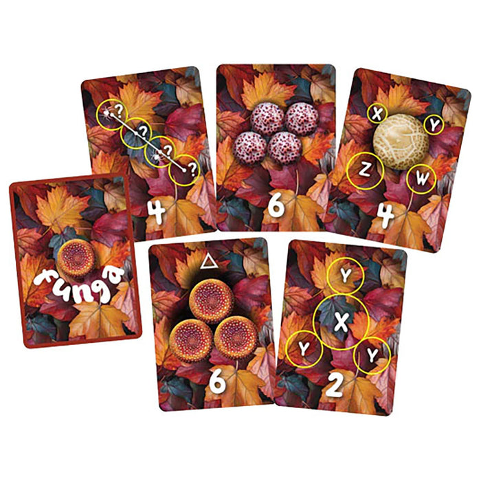 Flora Funga Game
