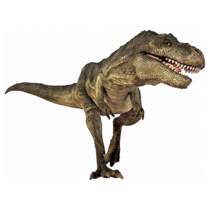 Natural History Museum Dinosaur Torch & Projector