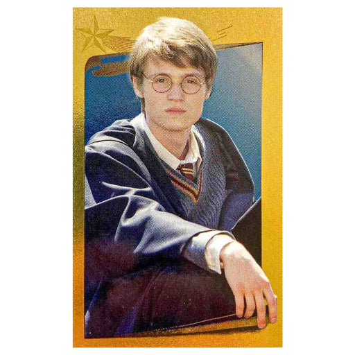 Panini Harry Potter A Year At Hogwarts Sticker Collection Starter Pack