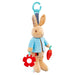 Peter Rabbit Activity Toy