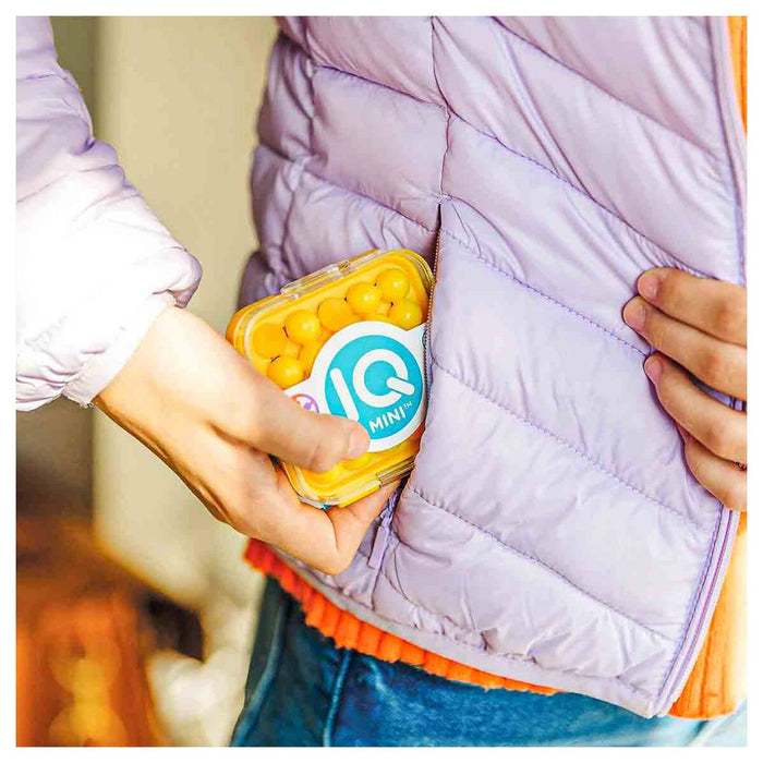 IQ Mini Puzzle Game (styles vary)