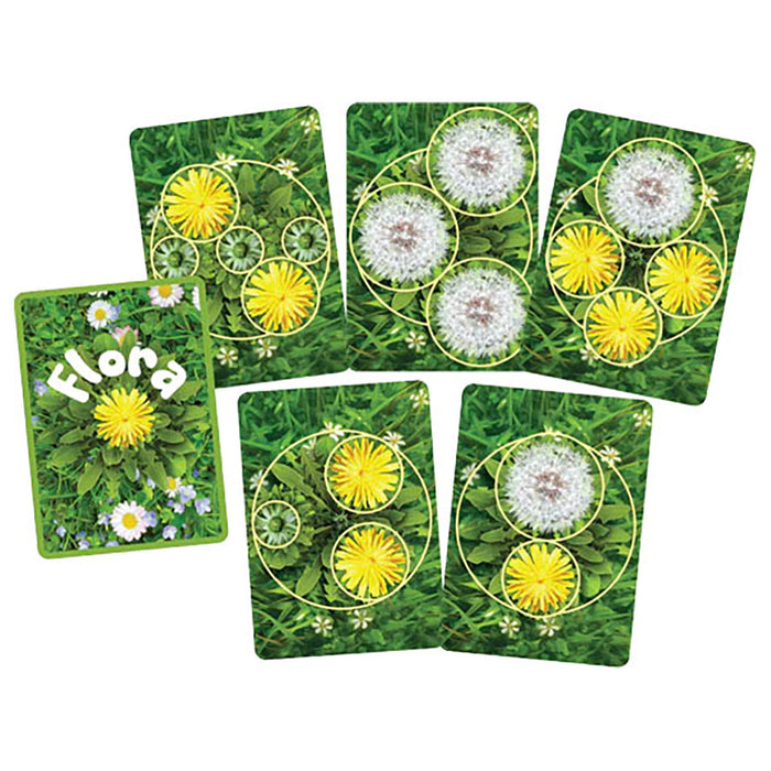 Flora Funga Game