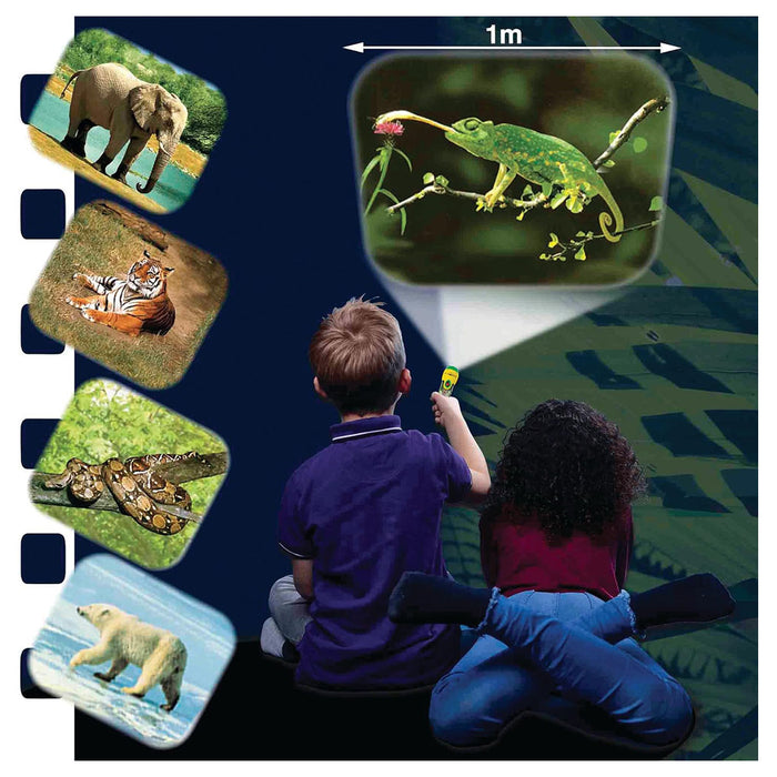 Brainstorm Animal Torch & Projector 