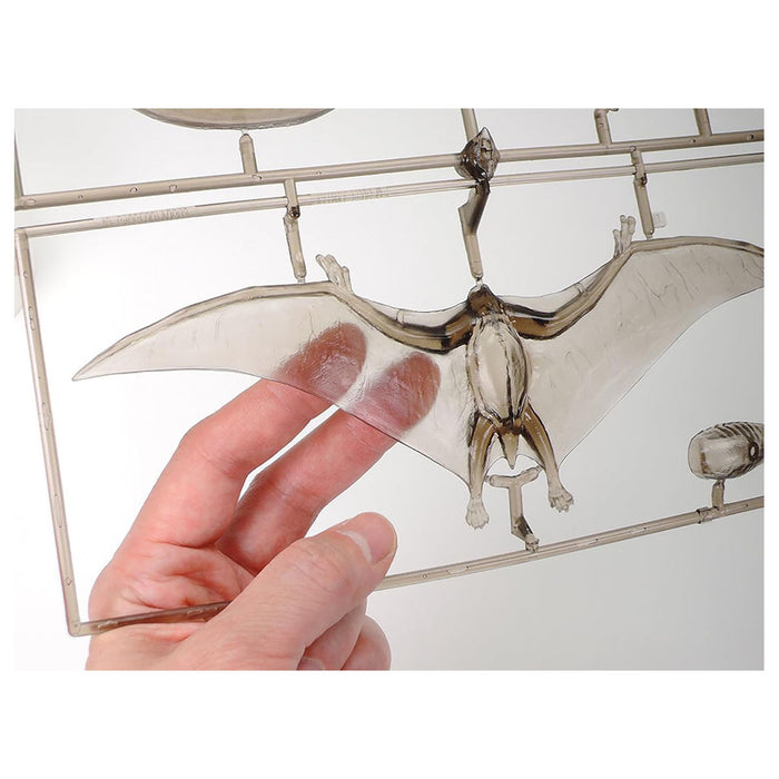 Tamiya Pteranodon 1/35 Model Kit