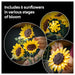 LEGO Botanicals Sunflower Bouquet Building Set