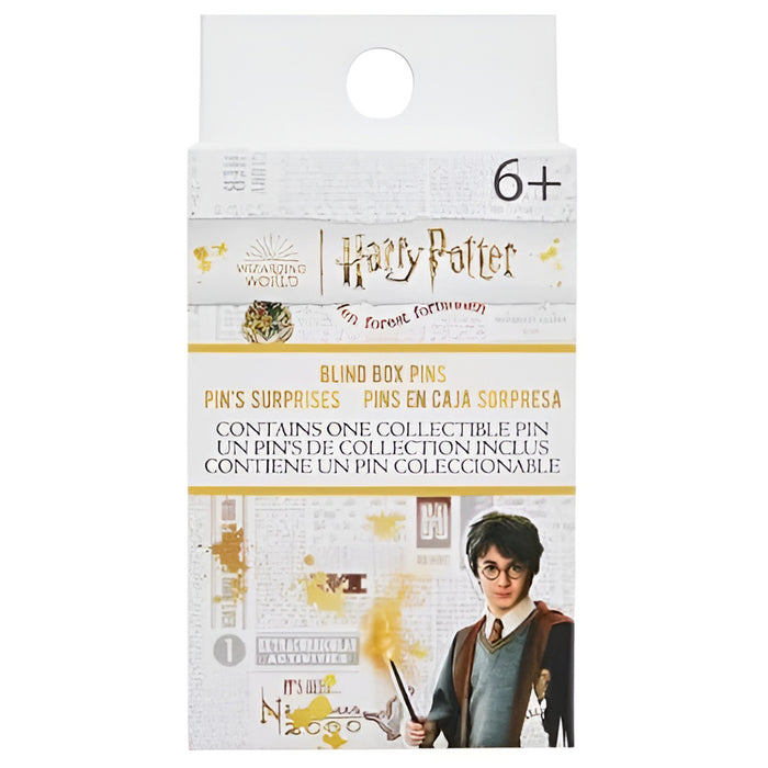 Funko Harry Potter Stained Glass House Crests Blind Box Pins (styles vary)