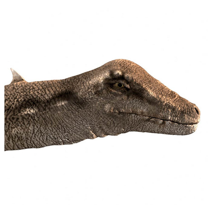 Natural History Museum Dinosaur Torch & Projector