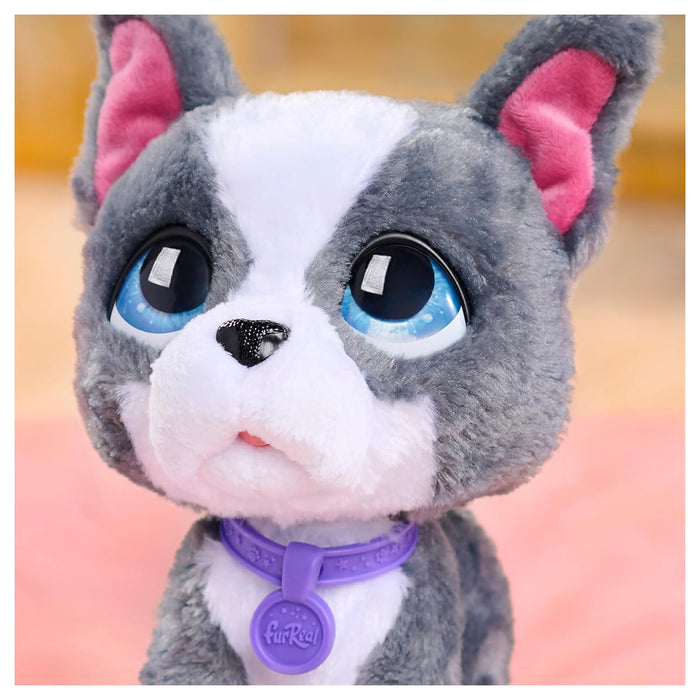 furReal Walk-a-Lots French Bulldog Interactive Pet