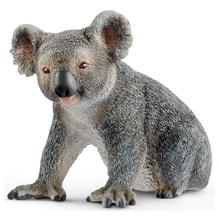 Schleich Wild Life Koala Bear Figure