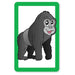 Snap and Pairs Zoo Card Game