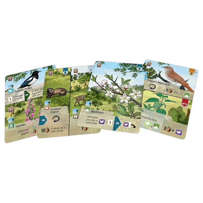 Forest Shuffle: Woodland Edge Game Expansion 