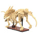 CaDA Dinosaur Fossils: Triceratops Building Set