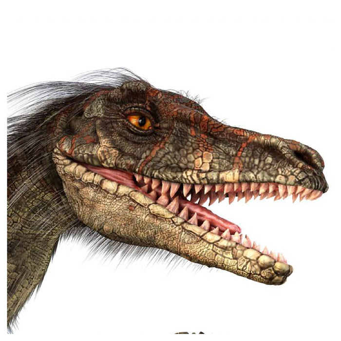 Natural History Museum Dinosaur Torch & Projector