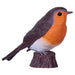 Robin Figure