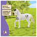 Schleich Marwari Stallion Figure