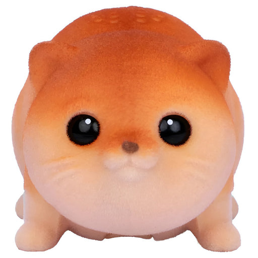 Little Live Pets NeeDees Splashee Otter Interactive Pet