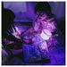 Glo Pals Water-Activated Light-Up Sensory Toys Lumi Set