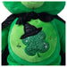 Care Bears x Wicked Good Luck Bear as Elphaba 22cm Plush