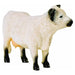 Schleich Farm World Galloway Cow Figure