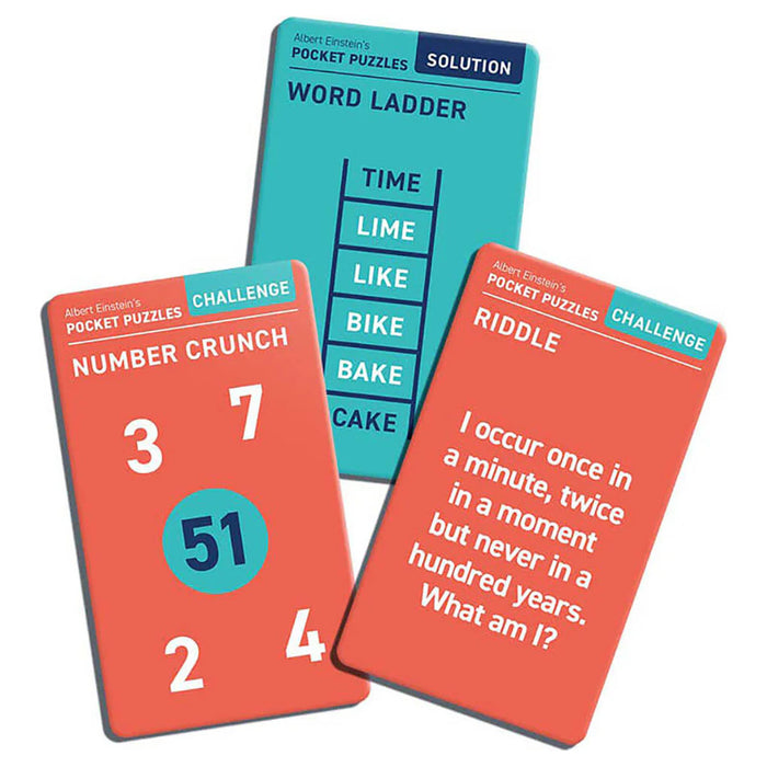 Professer Puzzle Albert Einstein’s Pocket Puzzles