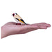 European Goldfinch Figure