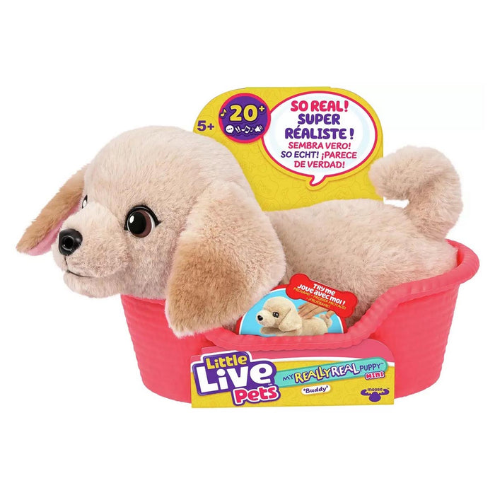 Little Live Pets My Really Real Puppy Minis: Buddy Interactive Pet