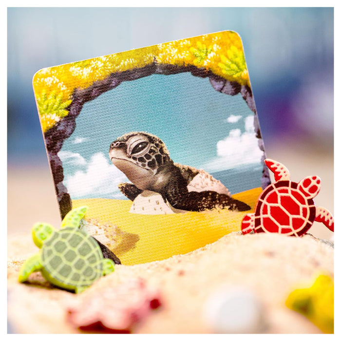 Shallow Sea Board Game