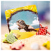 Shallow Sea Board Game
