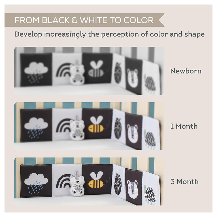 Savannah Black & White Book