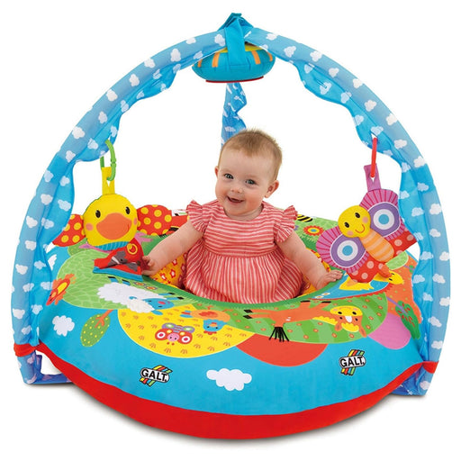 Galt Farm Playnest & Gym