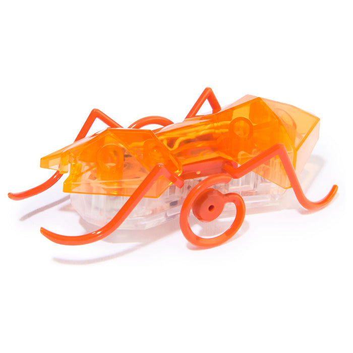Hex Bots Micro Ant Orange Mini Robot Bug