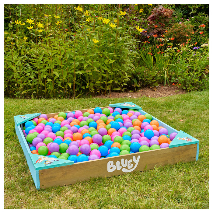 TP Bluey Wooden Sandpit