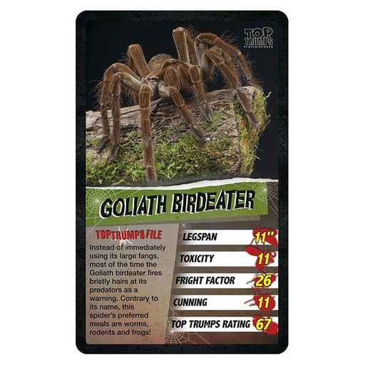 Spiders Top Trumps Card Game