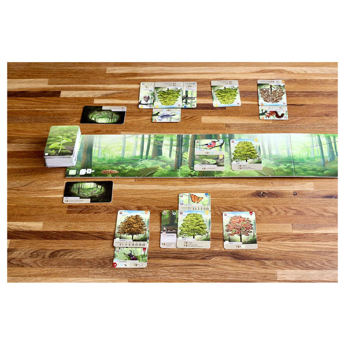 Forest Shuffle Card Game