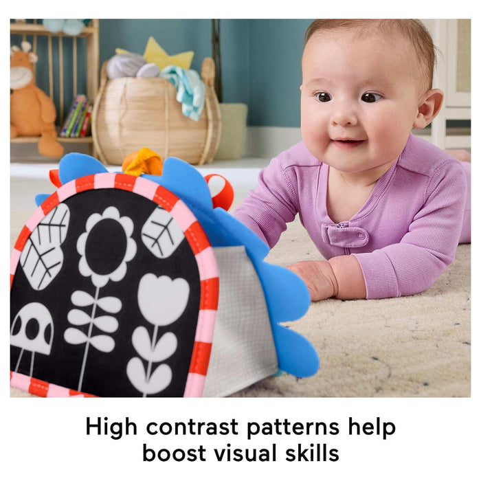 Fisher-Price Prop 'n Go Portable Mirror