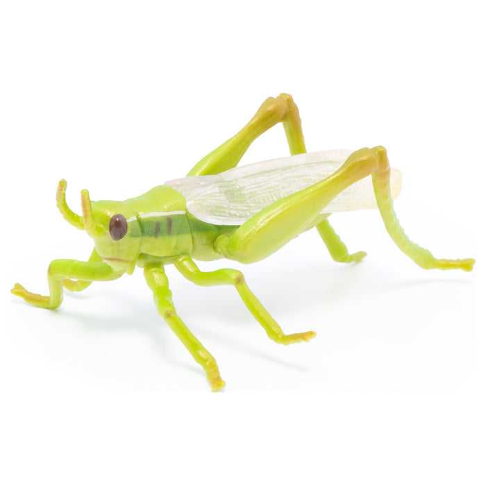 Papo Grasshopper Figure
