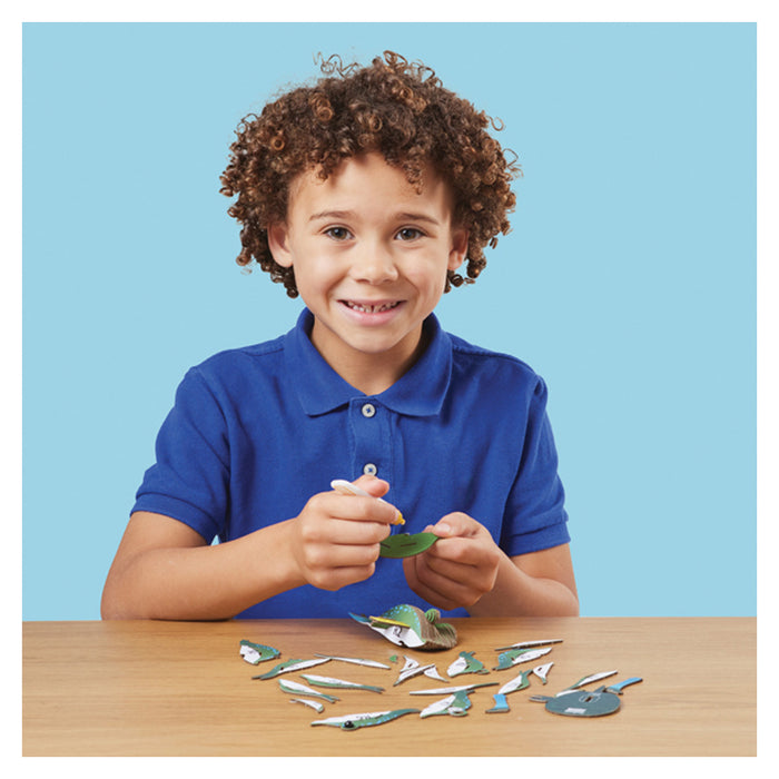 EUGY Stingray 3D Cardboard Model Kit