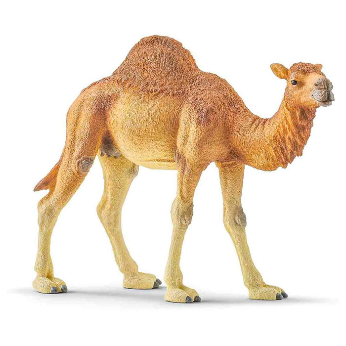 Schleich Wild Life Dromedary Figure