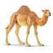 Schleich Wild Life Dromedary Figure