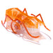 Hex Bots Micro Ant Orange Mini Robot Bug