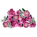LEGO Botanical Collection Bouquet of Pink Roses 10374 Building Set