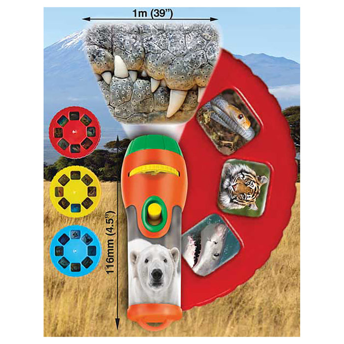 Brainstorm Most Deadly Torch & Projector Set