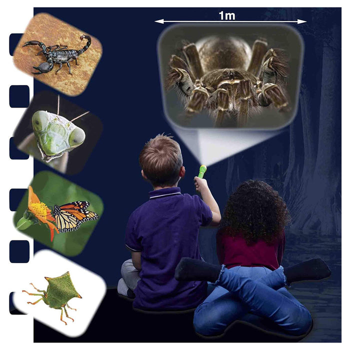 Natural History Museum Creepy Crawly Torch and Projector