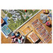 The Great Tour: European Cities Board Game