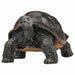 Mojo Fun Wildlife Giant Tortoise Figure