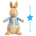 Peter Rabbit 24cm Soft Toy 