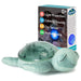 Cloud b Tranquil Turtle Night Light