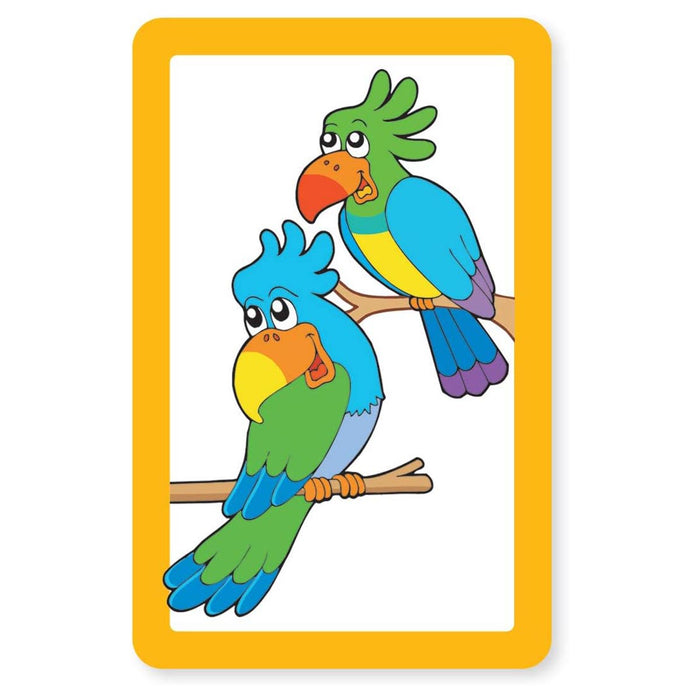 Snap and Pairs Zoo Card Game